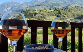 La Vigne De Papagran